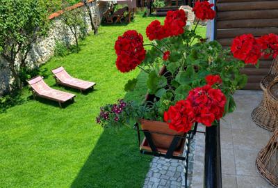 Hotel/Pensiune, de 20 mp, în Central - 2