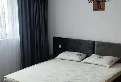 Apartament cu 2 camere semidecomandat, mobilat în Fundeni - 7