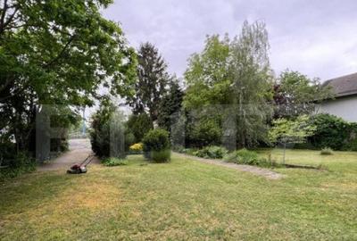 Casă cu 7 camere cu Teren 3000 Mp în Botizului