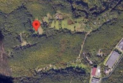 Teren 15826 mp + padure 1 ha - 6