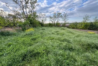 Casă individuală cu 3 camere cu Teren 850 Mp în Tămădău Mic - 2