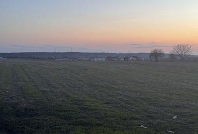 Spațiu comercial, în Șimian - 6