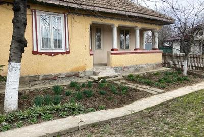 Casă cu Teren 754 Mp în Gâldău - 1