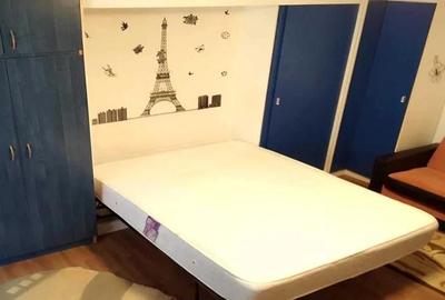 Garsonieră decomandată, mobilată în Sebastian