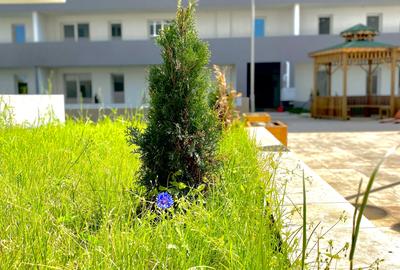 APARTAMENT 2 CAM. CU GRADINA PRIVATA/MUTARE IMEDIATA/Direct DEZVOLTATOR - 9