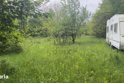 Teren de 1585 mp, în Cornu - 3