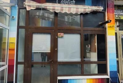 Spatiu comercial, 30 mp, str. Lapusneanu. - 3