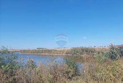 Spațiu comercial, în Balotești - 3