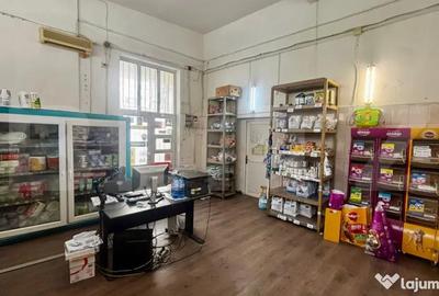 Spațiu comercial, de 264 mp, în Calea Severinului - 10