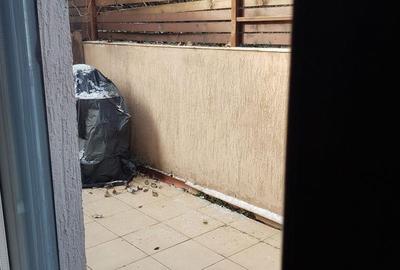 Apartament cu 2 camere decomandat, mobilat în Băneasa - 6