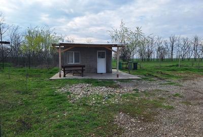 Spațiu comercial, în Moisica - 2