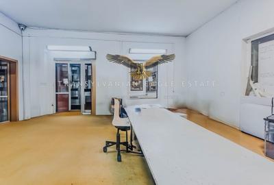 Oportunitate de inchiriere a unui spatiu industrial si de productie - 11