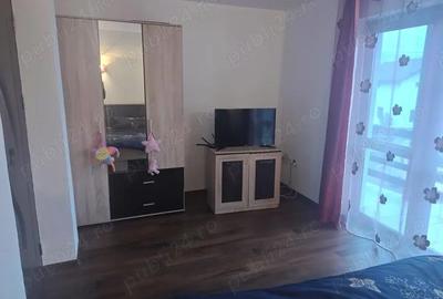 Casa Jiblea Veche - Calimanesti - 3