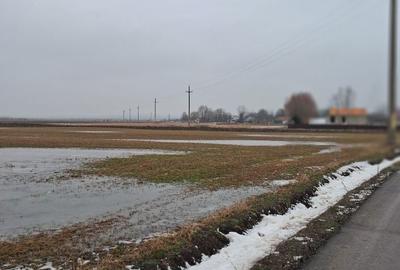 Spațiu comercial, în Zvoriștea - 4