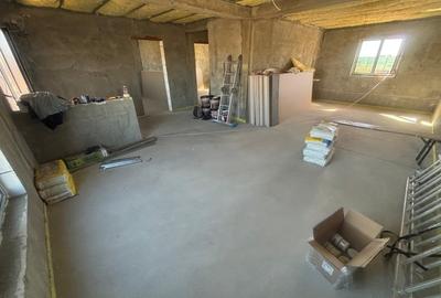 Casa pe parter Carcea , 325 mp teren - 8