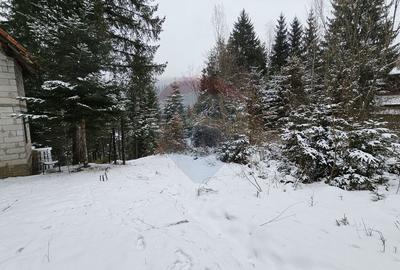 Teren Construcții intravilan de 430 mp, în Est - 6