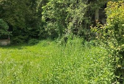 Casă individuală cu 2 camere cu Teren 5090 Mp în Vâlcele - 10