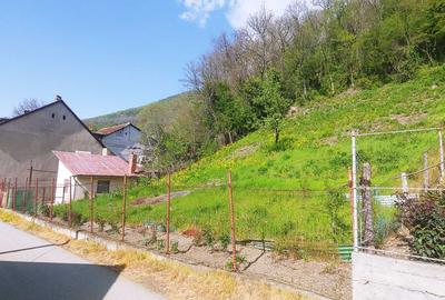 Casă cu 4 camere în Topleț - 2