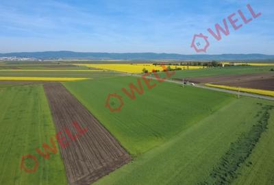 Teren intravilan de 32710 mp, în Periferie