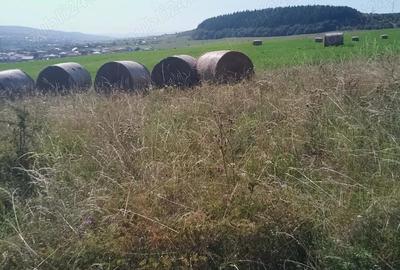 Chinteni 40 euro mp - 13