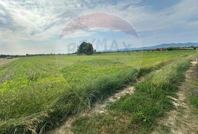 DE VANZARE- Teren INTRAVILAN in Coltau - 1