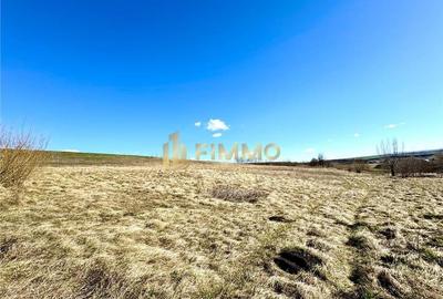 Teren Liteni | 127 ari | acces drum 7m | ID: 1116 - 3