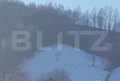 Teren de 9428 mp, în Bran - 3