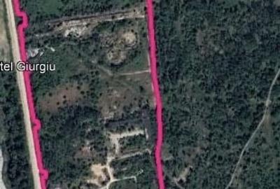 Spațiu comercial, în Sud - 7