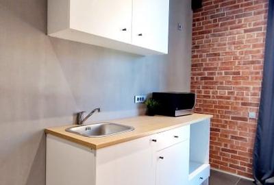 De Vanzare Apartament 2 Camere Loft Green Apartments, Mogosoaia FRF - 7