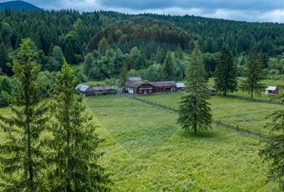 Ferma de vanzare, teren 21436 mp intravilan, Cosnea, Agas - 15