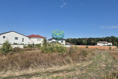 Teren de vanzare - Voluntari - zona Matei Millo - 3