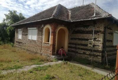 Ag BRASADAS vinde casa LOCUIBILA 3 cam teren 5.000 mp HOREA. - 5