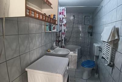 Tautii de Sus, casa caramida,7,5 ari teren - 4