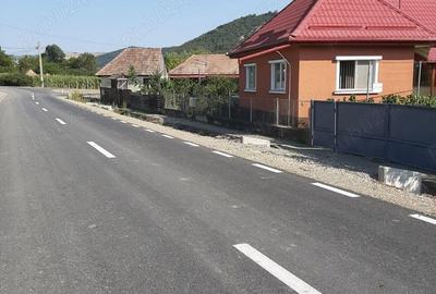 Casă cu 3 camere cu Teren 3800 Mp în Șăușa - 5