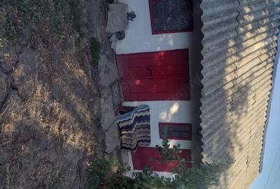 Casă cu 2 camere în Lipovăț - 1