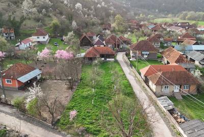 Casă cu 3 camere în Ocișor - 2