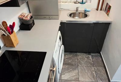 Apartament 2 camere Cismigiu / Sala Palatului - 11