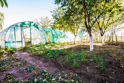 Casă individuală cu 7 camere cu Canalizare în Islaz - 3