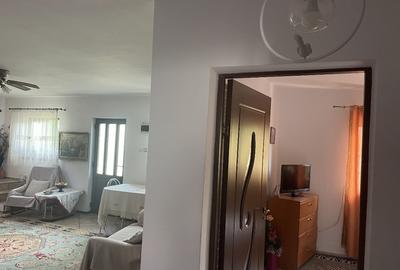 Comuna Marzanesti, sat Valea Parului, str Lalelelor, Teleorman - 15