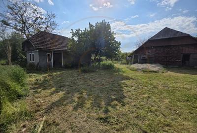 Casă individuală cu 2 camere cu Teren 7350 Mp în Valea Vinului - 3