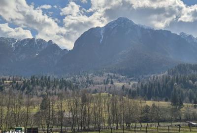 Spațiu comercial, în Plaiul Foii - 11