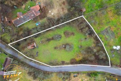 FILM! Casuta cu teren intravilan de 3.042mp, in pitoreasca aria din Bicfalau - 3