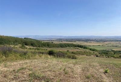 Teren extravilan de vanzare in Tileagd - 3166 mp cu panorama superba - 1