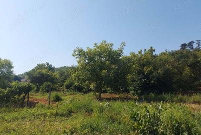 Casa cu gradina in Blaj - 6