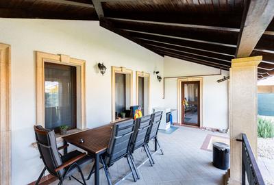 Refugiul Perfect de Lângă Timișoara - 29