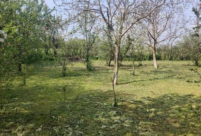 Casă cu 4 camere cu Teren 1200 Mp în Central - 2