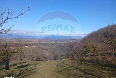 Spațiu comercial, în Remecioara