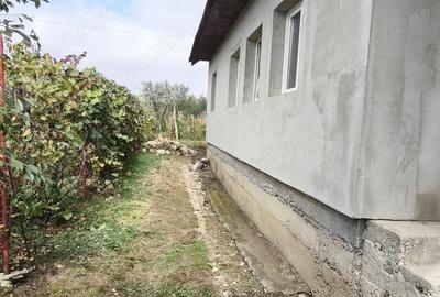 Casă cu 5 camere cu Teren 4316 Mp în Telești - 1