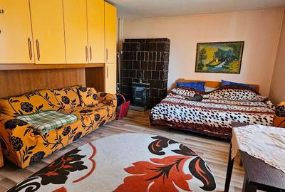 Proprietate Slobozia-Roznov, casa mansardata, teren si livada - 9