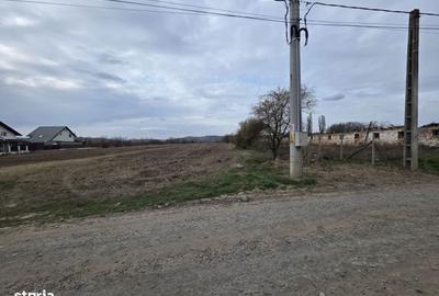 Spațiu comercial, în Sângeorgiu de Mureș - 3